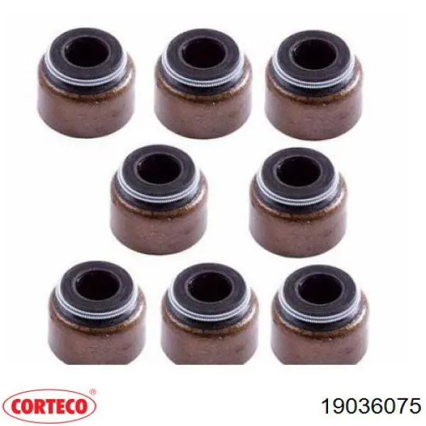 Compre 19036075 Corteco Vedação de válvula (de óleo) de escape, kit