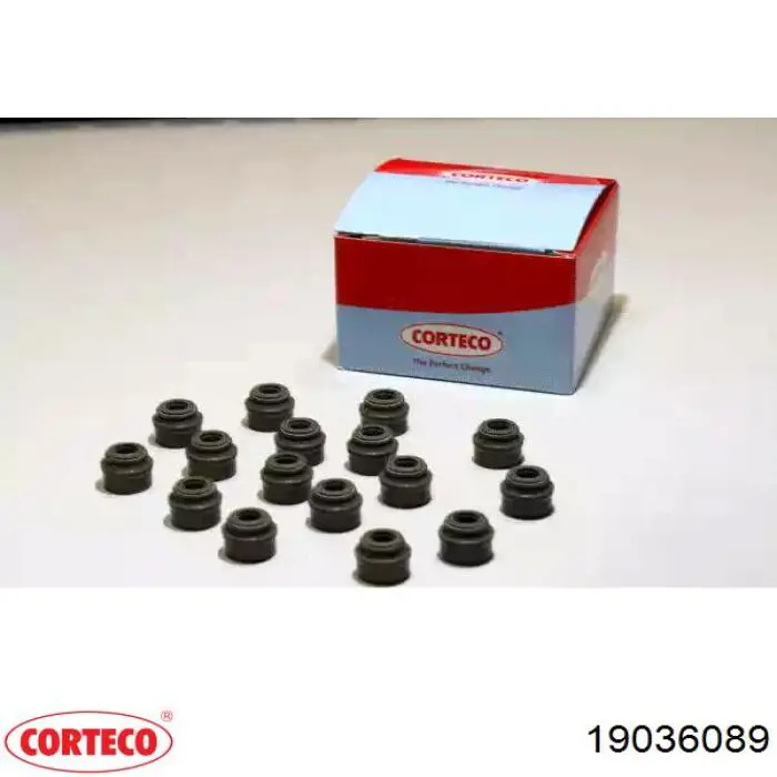 Vedação de válvula (de óleo) de admissão, kit Corteco 19036089 preço, a partir de 11,16 USD