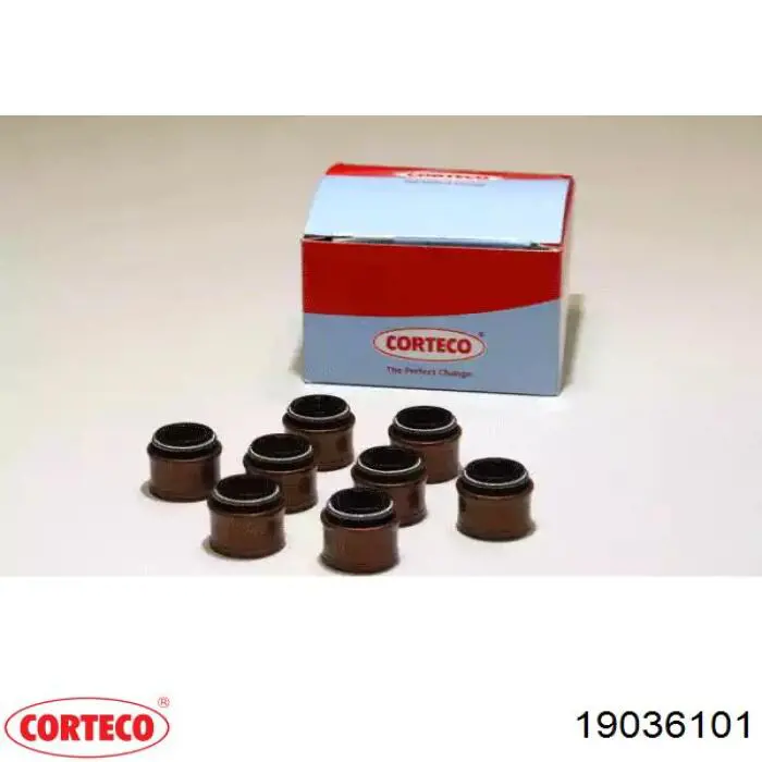 Vedação de válvula (de óleo) de escape, kit Corteco 19036101 preço, a partir de 23,48 USD