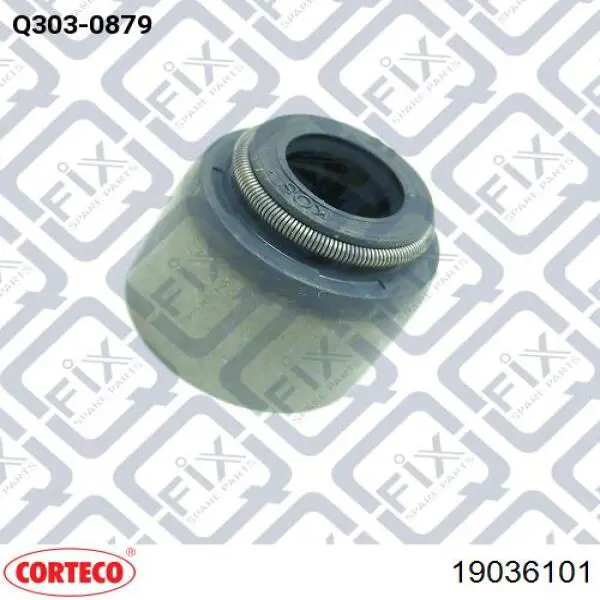 Compre 19036101 Corteco Vedação de válvula (de óleo) de escape, kit