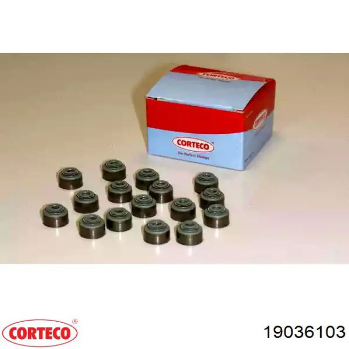 Vedação de válvula (coletor de óleo), admissão/escape, kit para um motor Corteco 19036103 preço, a partir de 21,18 USD