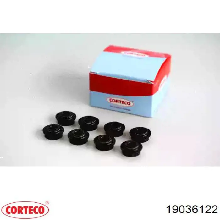 19036122 Corteco Vedação de válvula (coletor de óleo), admissão/escape, kit para um motor