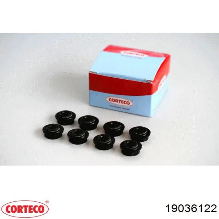 Compre 19036122 Corteco Vedação de válvula (coletor de óleo), admissão/escape, kit para um motor