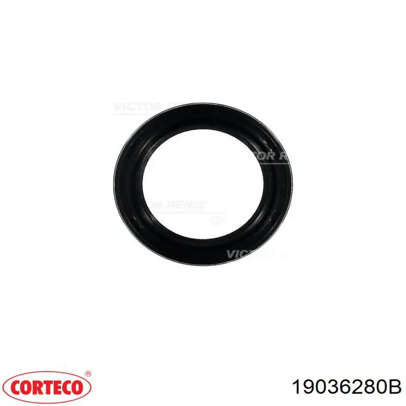 Vedação da árvore distribuidora de motor Corteco 19036280B preço, a partir de 5,86 USD