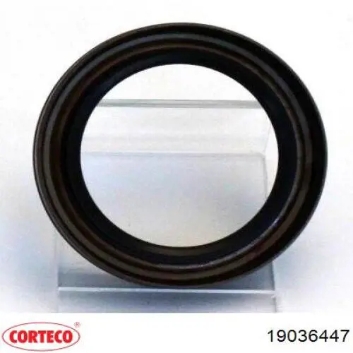 Vedação dianteira de cambota de motor Corteco 19036447 preço, a partir de 15,07 USD