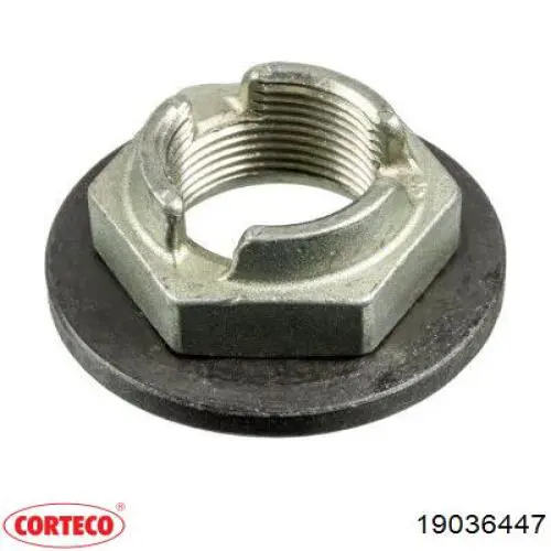 Compre 19036447 Corteco Vedação dianteira de cambota de motor