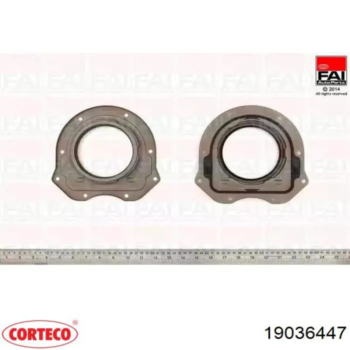 Vedação dianteira de cambota de motor 19036447 Corteco