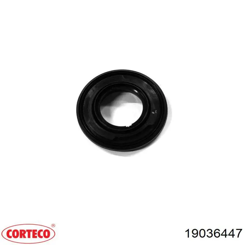 19036447 Corteco Vedação dianteira de cambota de motor