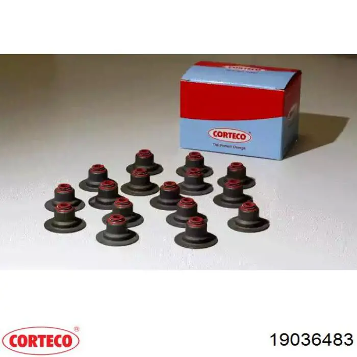 Vedação de válvula (coletor de óleo), admissão/escape, kit para um motor Corteco 19036483 preço, a partir de 19,82 USD