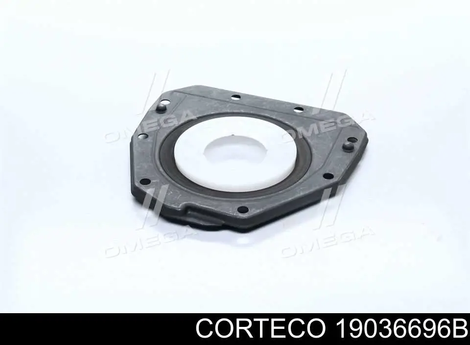 Vedação traseira de cambota de motor Corteco 19036696B preço, a partir de 35,06 USD
