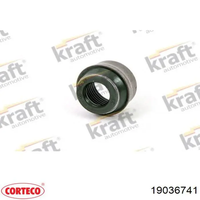 19036741 Corteco Vedação de válvula (coletor de óleo), admissão/escape, kit para um motor