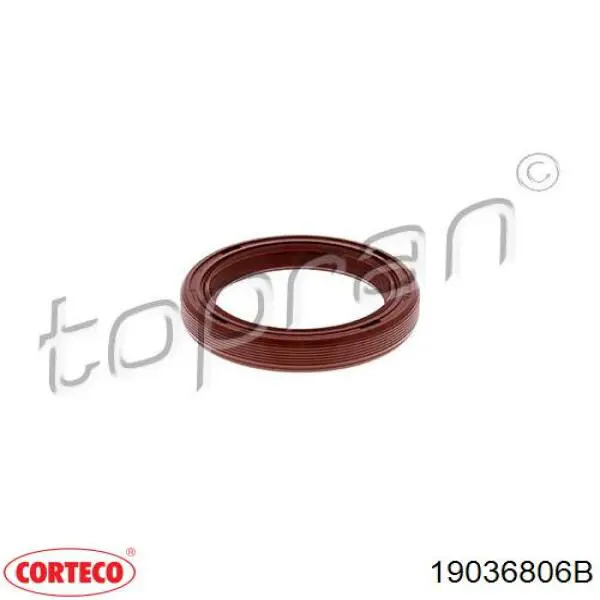 Compre 90536154 General Motors Vedação dianteira de cambota de motor