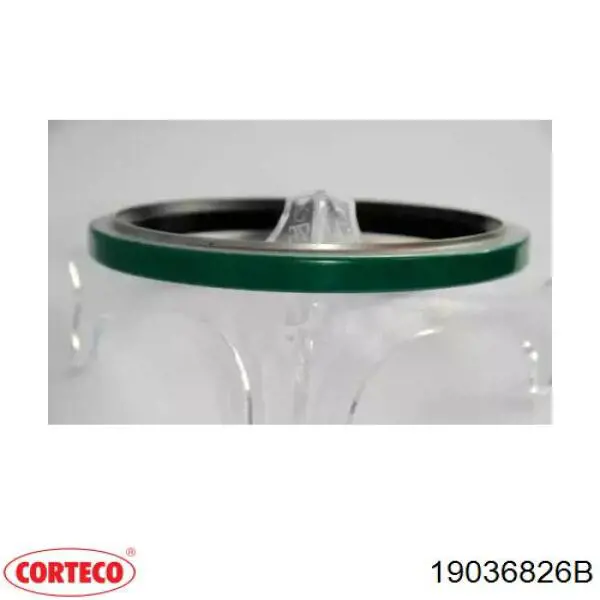 Anel de vedação, universal Corteco 19036826B preço, a partir de 9,03 USD
