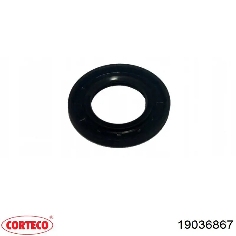 Compre 19036867 Corteco Vedação da Caixa Automática de Mudança (de árvore de saída/primária)