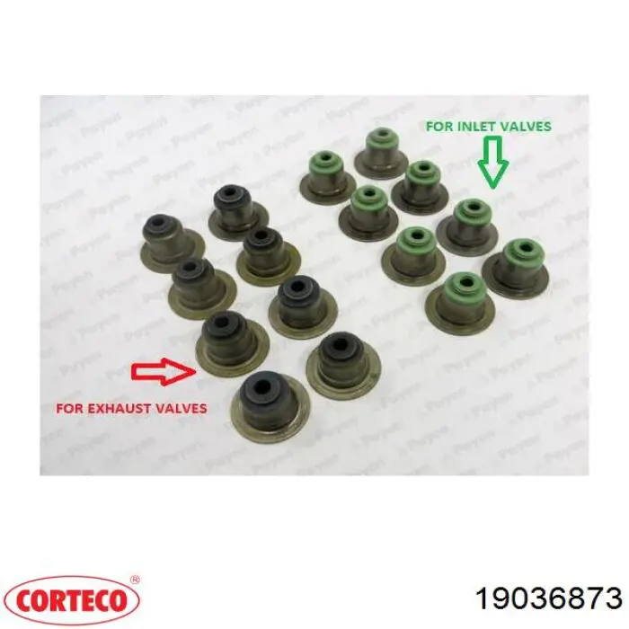 Vedação de válvula (coletor de óleo), admissão/escape, kit para um motor Corteco 19036873 preço, a partir de 27,79 USD