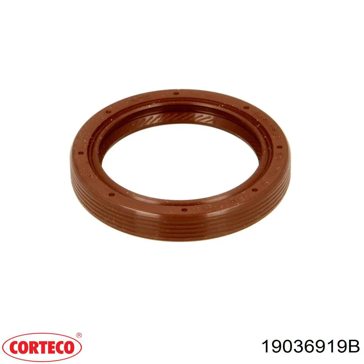 Vedação traseira da árvore distribuidora de motor Corteco 19036919B preço, a partir de 6,81 USD