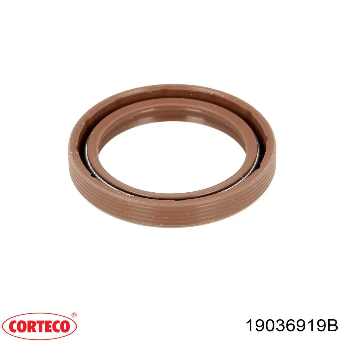 Compre 19036919B Corteco Vedação traseira da árvore distribuidora de motor