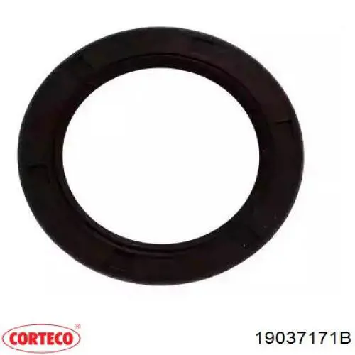 Vedação dianteira de cambota de motor Corteco 19037171B preço, a partir de 13,81 USD