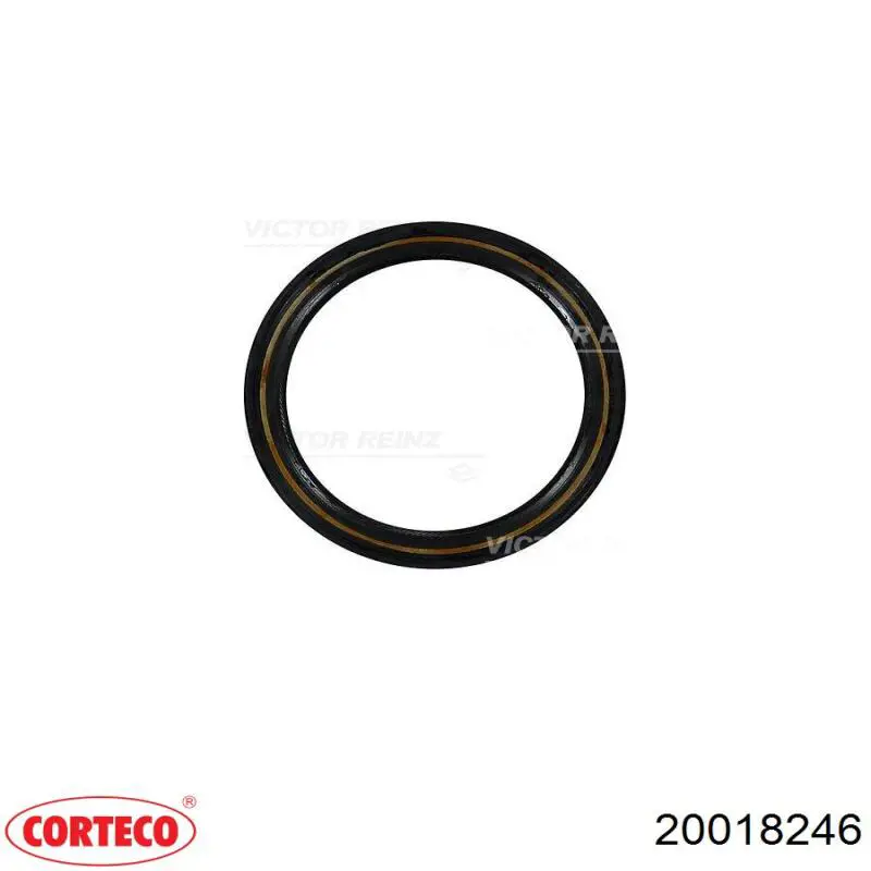 Vedação traseira de cambota de motor Corteco 20018246 preço, a partir de 9,63 USD