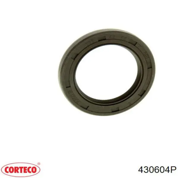 0197X6 Peugeot/Citroen Kit de vedantes de motor completo