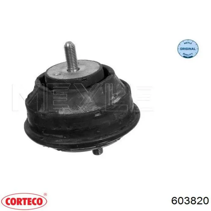 Coxim (suporte) esquerdo/direito de motor Corteco 603820 preço, a partir de 46,46 USD