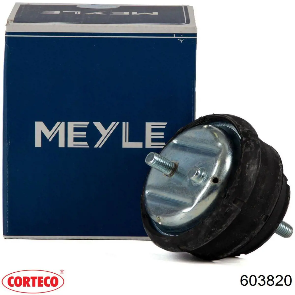 Compre 603820 Corteco Coxim (suporte) esquerdo/direito de motor