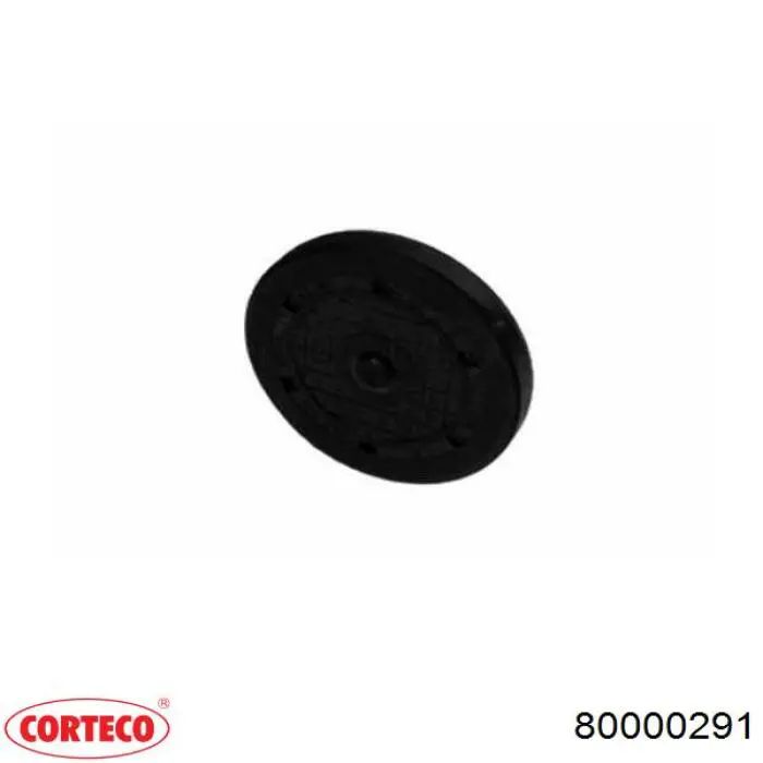 Compre 8200040484 Renault (RVI) Tampão da rolha da árvore distribuidora