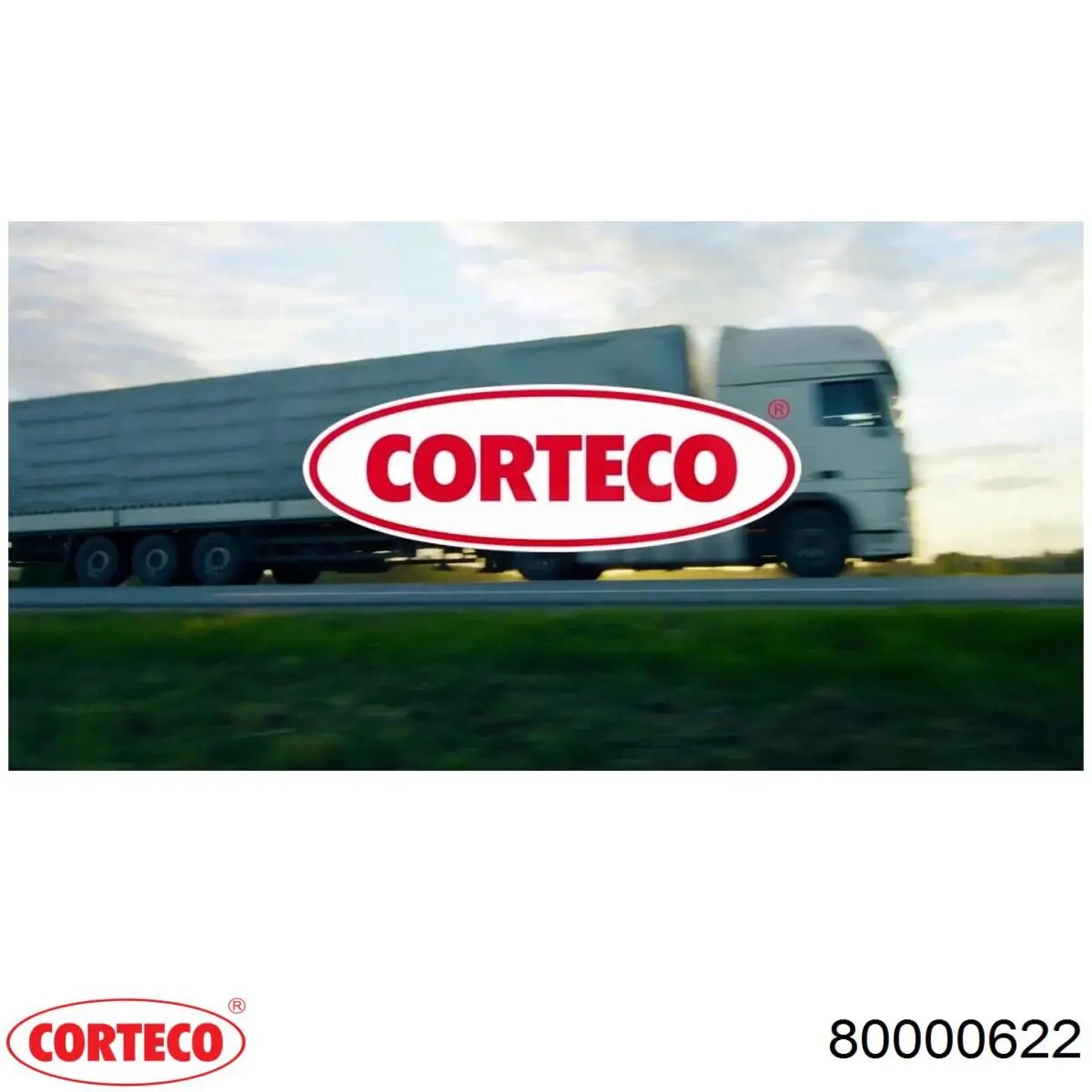 Filtro de salão 80000622 Corteco