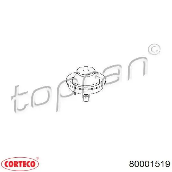 Coxim (suporte) direito dianteiro de motor Corteco 80001519 preço, a partir de 10,77 USD