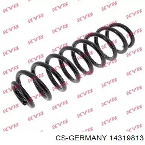 Compre 14319813 CS Germany Mola traseira