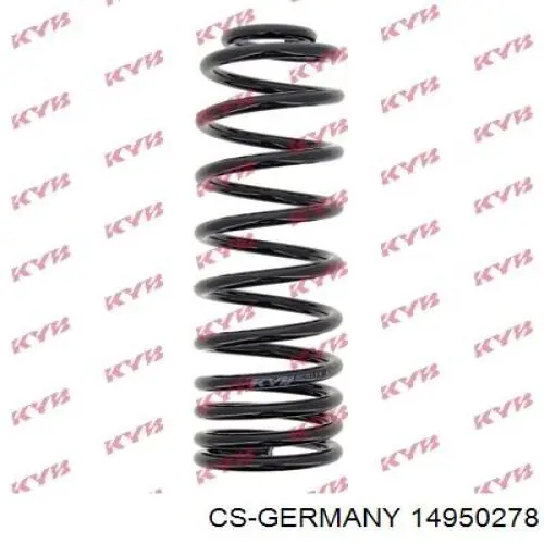 Compre 14950278 CS Germany Mola traseira