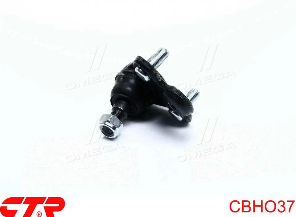 CBHO37 CTR Suporte de esfera inferior direito