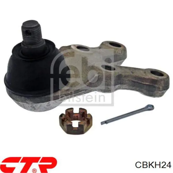 Suporte de esfera inferior CBKH24 CTR