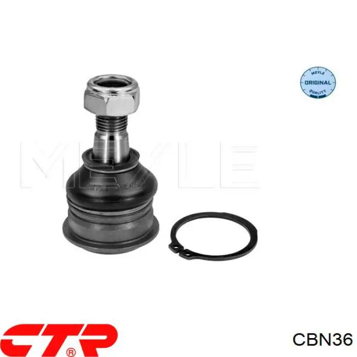 CBN36 CTR Suporte de esfera inferior