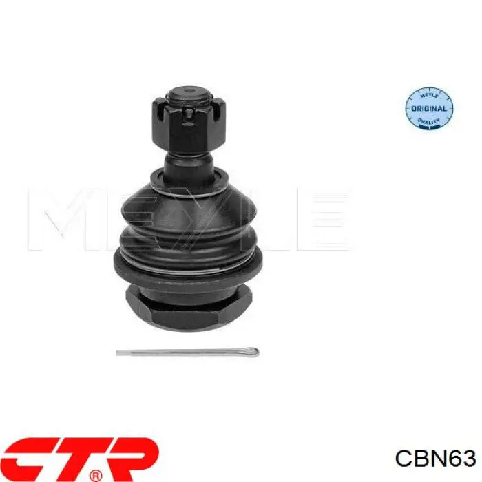 CBN63 CTR Suporte de esfera inferior
