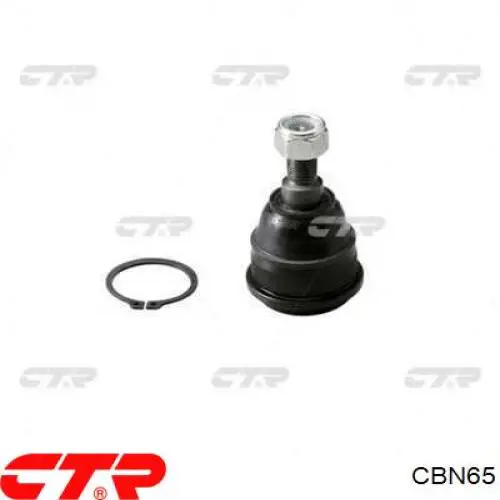 CBN65 CTR Suporte de esfera inferior