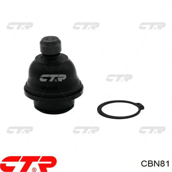 CBN81 CTR Suporte de esfera inferior