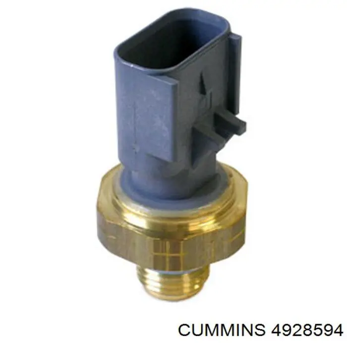  Cummins 4928594