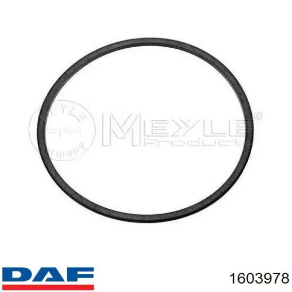 Compre 1603977 DAF Camisa do pistão