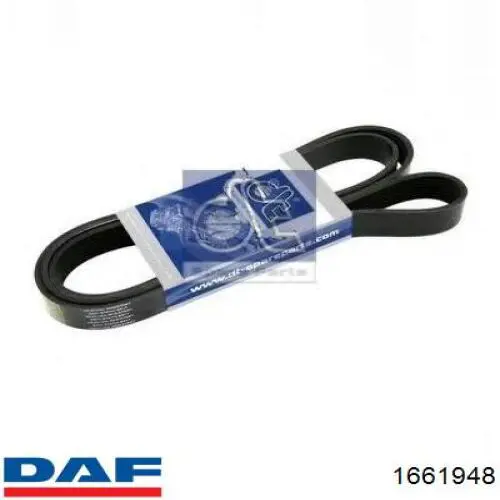 Correia dos conjuntos de transmissão DAF 1661948 preço, a partir de 24,40 USD