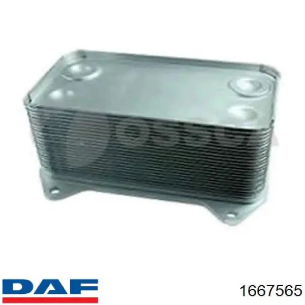 Compre 1667565 DAF Radiador de óleo