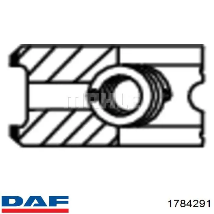 Anéis do pistão para 1 cilindro, STD. DAF 1784291 preço, a partir de 30,97 USD
