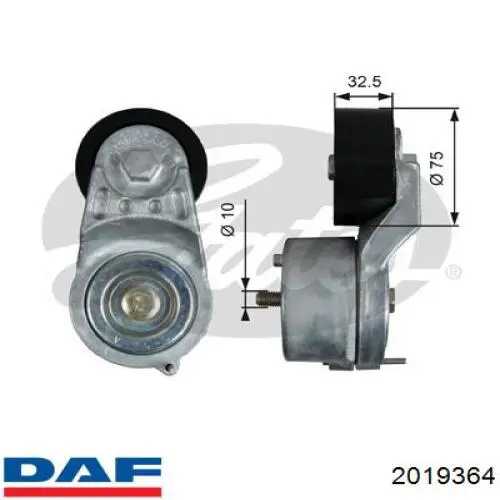 2019364 DAF Reguladora de tensão da correia de transmissão