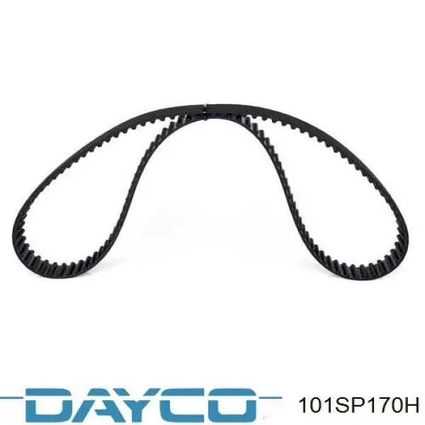 Compre 94076 Dayco Correia do mecanismo de distribuição de gás