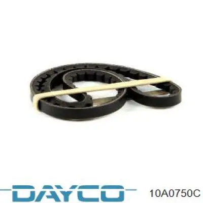 Compre 10A0750C Dayco Correia dos conjuntos de transmissão