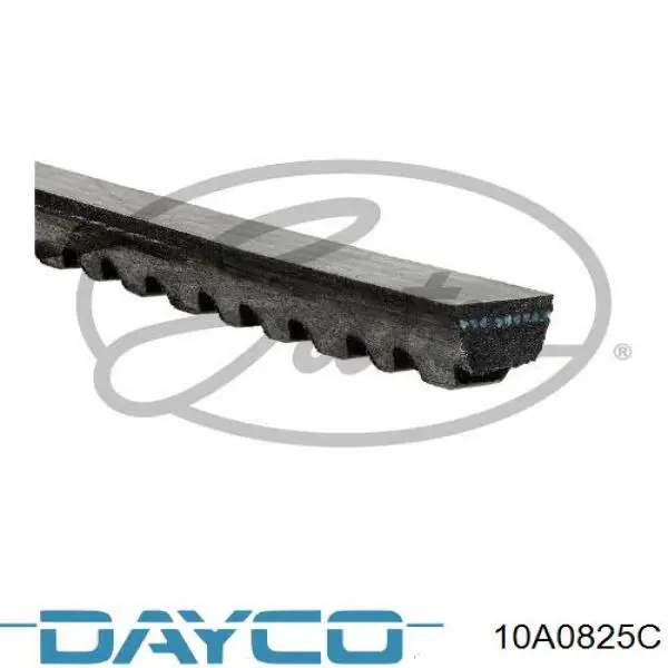 Compre 10A0825C Dayco Correia dos conjuntos de transmissão