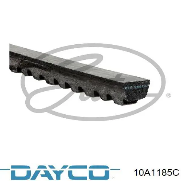 Compre AVX10X1184 Continental/Siemens Correia dos conjuntos de transmissão