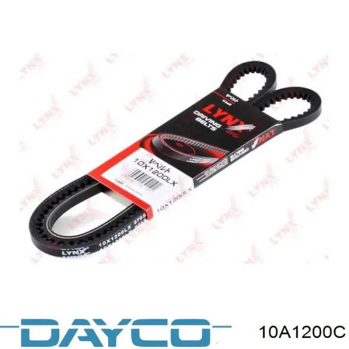 10A1200C Dayco Correia dos conjuntos de transmissão