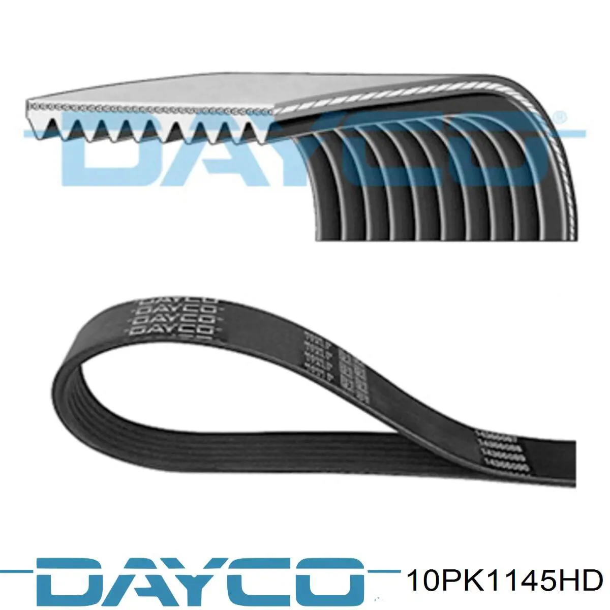 10PK1145HD Dayco Correia dos conjuntos de transmissão