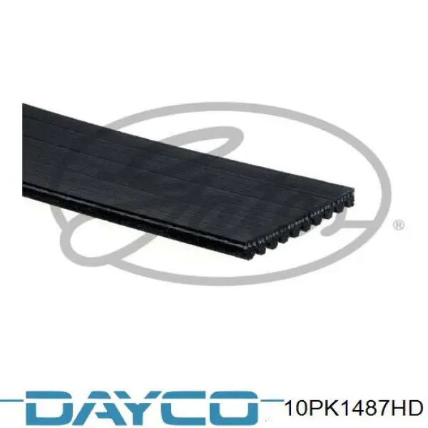 10PK1487HD Dayco Correia dos conjuntos de transmissão
